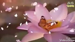 Sad and love theme song.....hamari adhuri kahani...2014