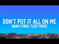 Noah Cyrus Don T Put It All On Me Lyrics Ft Fleet Foxes