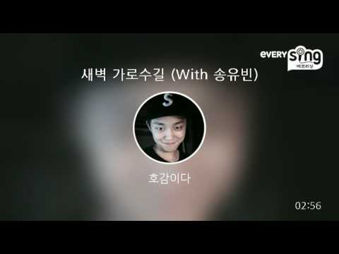 [everysing] 새벽 가로수길 (With 송유빈)
