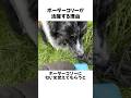 AirPodsも探してほしい