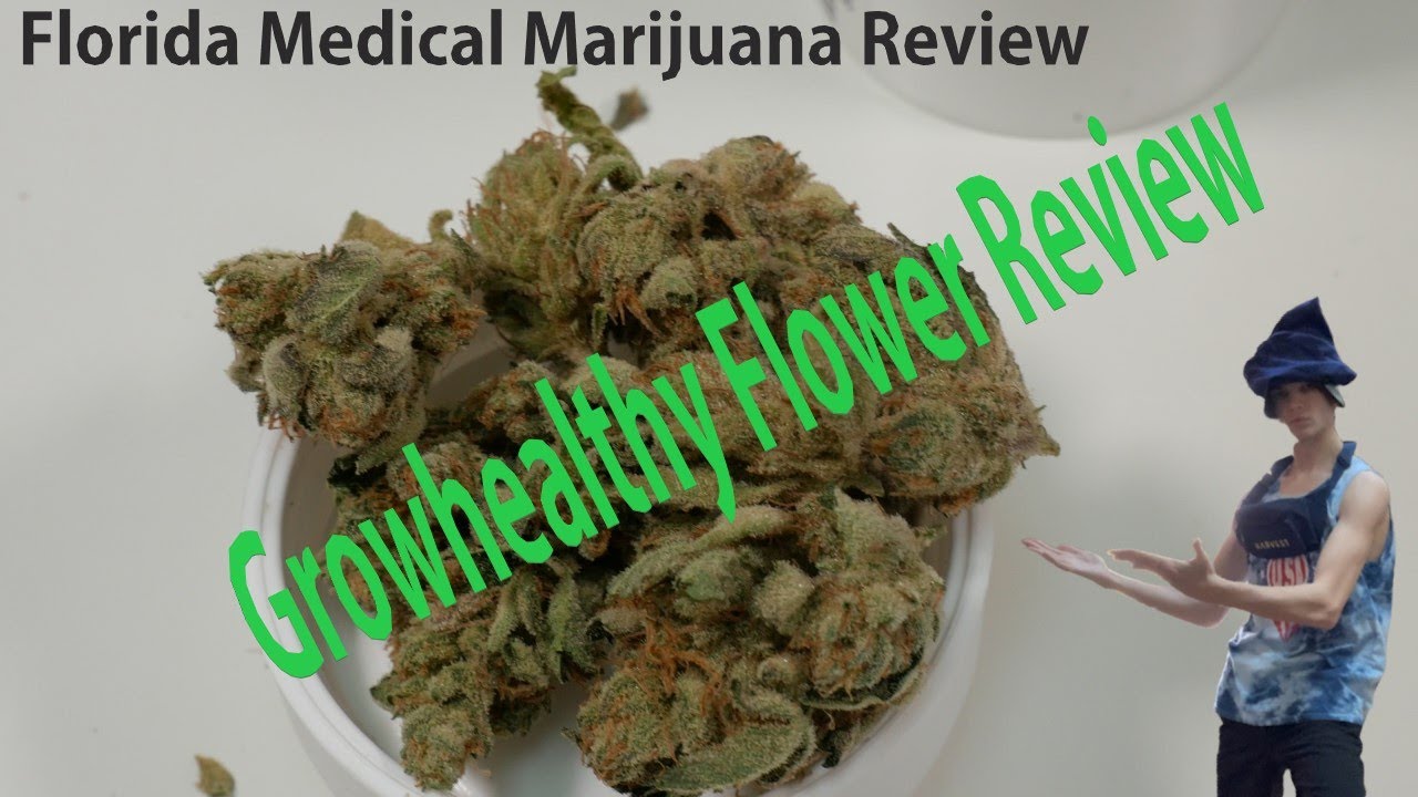 White 99 and Good Dawg from Growhealthy | Strain Review