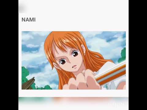 Straw hat pirates bounties at the end of series