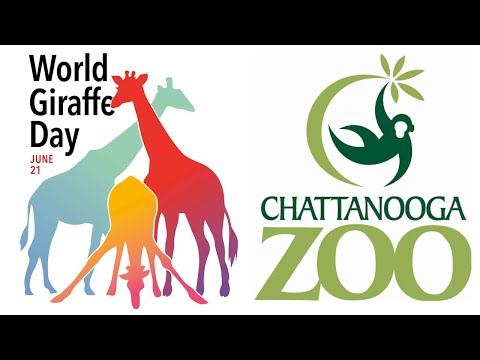 Celebrating World Giraffe Day at the Chattanooga Zoo
