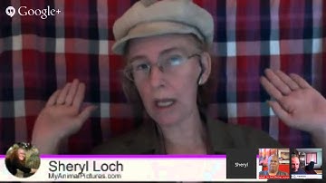 Google Plus Custom URL Questions Answered