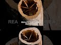 Photoscan of dried &amp; rotten tree stump // RealityCapture + Blender 3D
