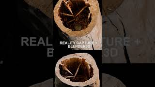 Photoscan of dried &amp; rotten tree stump // RealityCapture + Blender 3D
