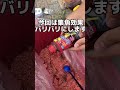 芦屋のグレ攻略！　6/28(水)13時～14時半の日中でも釣れる！　フィッシングマックス芦屋店