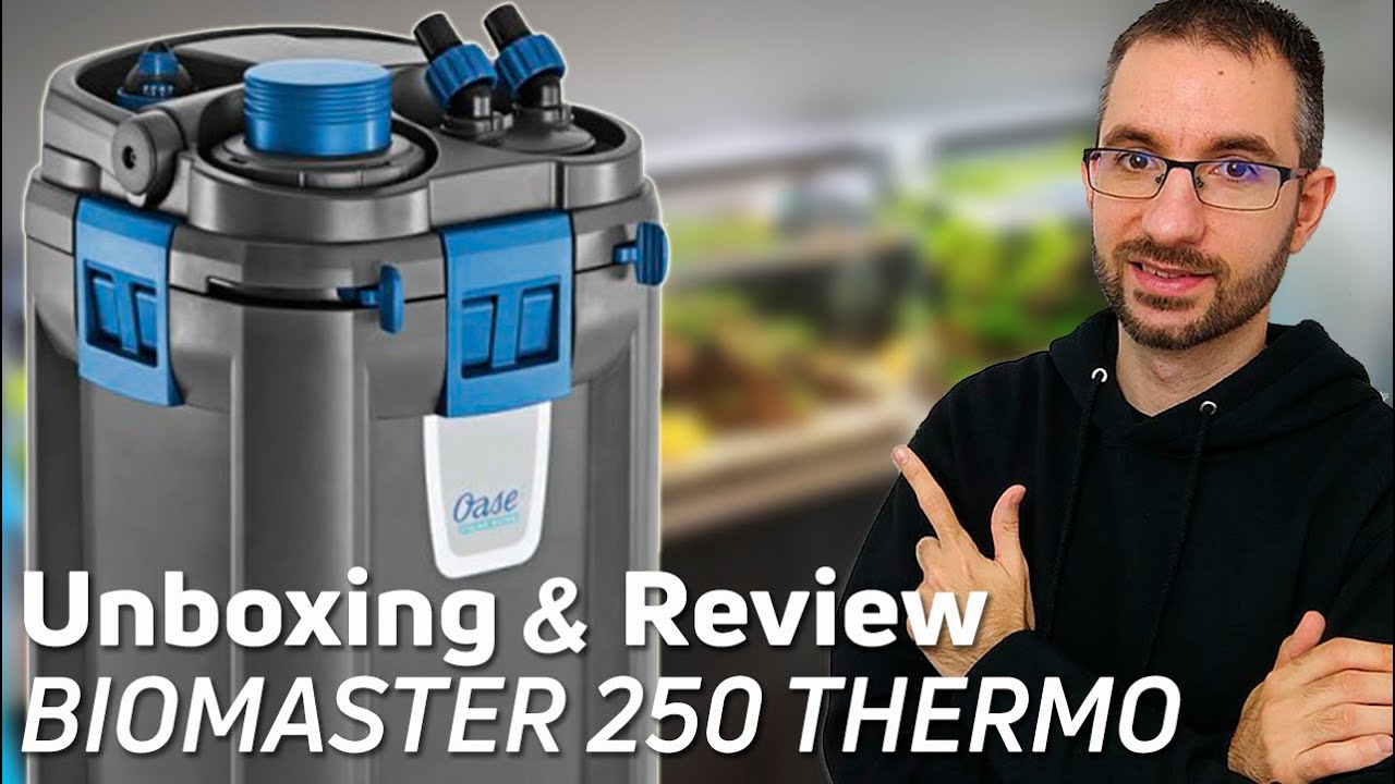 Filtro OASE BioMaster Thermo 250: Solución Definitiva para un Acuario Perfecto