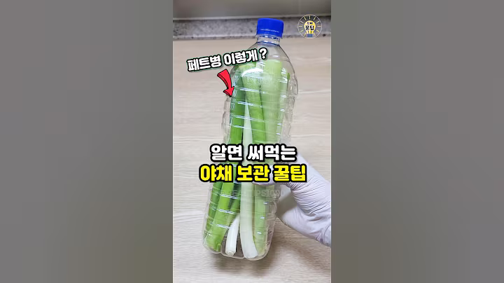 ✨알아두면 평생 써먹는 야채 보관 꿀팁 3가지🥦 #shorts #살림팁 #꿀팁 #생활꿀팁