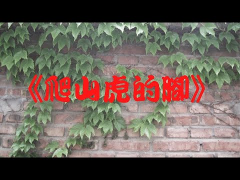10 爬山虎的腳段意、語文基礎知識、課文重難點