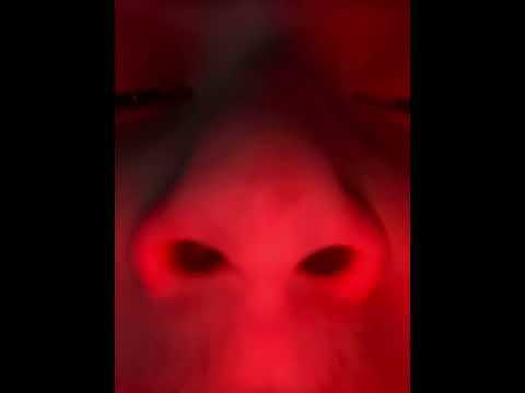 Kaiden's Nose