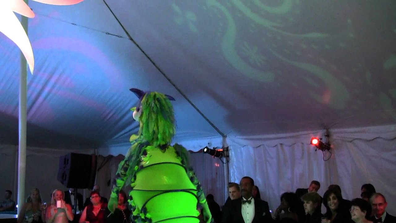 Circuit Mom at Shedd Aquarium Gala #4.MTS