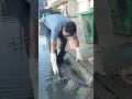 Stop Flooding on street |  Unclogged  blocked Trash  #shorts #uncloggingdrains
