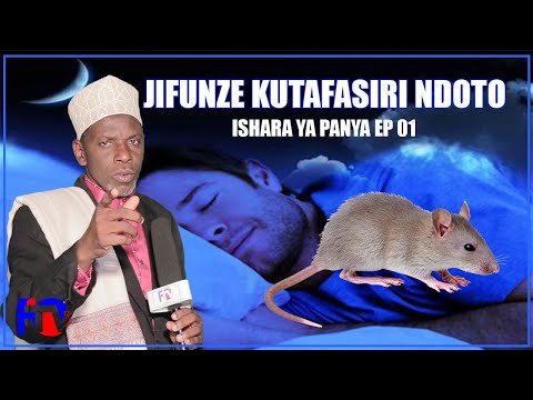 Video: Nini cha kutarajia kwa ishara za zodiac katika Panya 2020