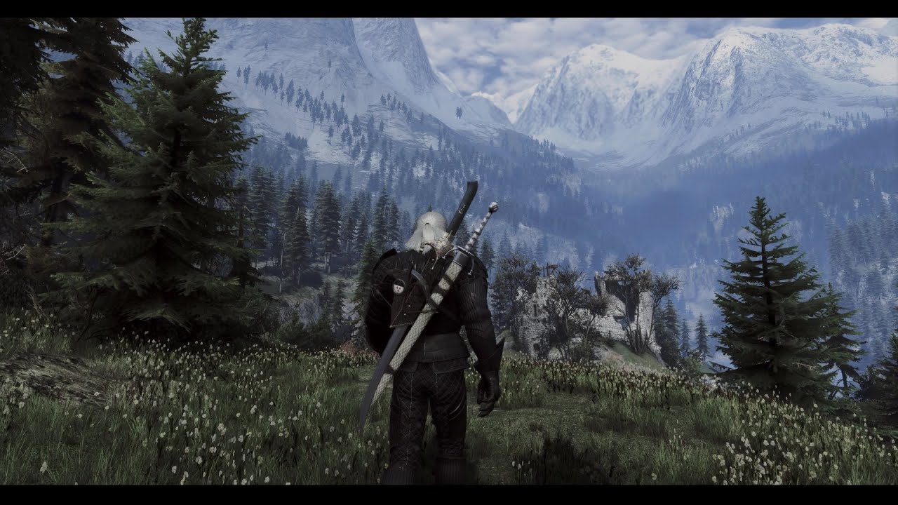 The Witcher 3 | Goonz Reshade + Immersive Lighting | Realistic Modded Graphics Comparison Showcase