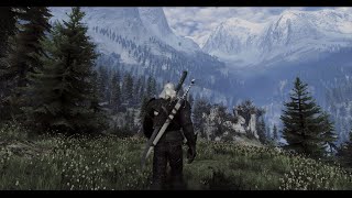 The Witcher 3 | Goonz Reshade + Immersive Lighting | Realistic Modded Graphics Comparison Showcase