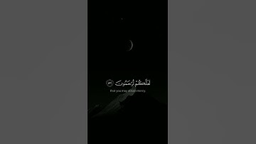 سورة ال عمران القارئ محمد اللحيدان #القرآن#اكسبلور#المصحف#سورة_آل_عمران#القارئ #الشيخ#محمد_اللحيدان