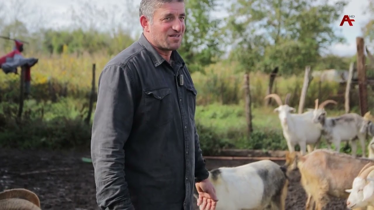 Анхаҩы.Араду. Адлеиаа рҭаацәара