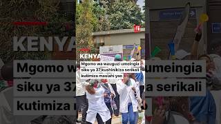 Kenya nurses' strike hits day 37 as they pressure the government to address their grievances