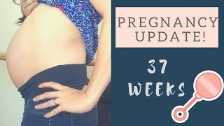 Detailed 37 Week Pregnancy Update - Sinus Infections, Procrastination and Baby Movement Information