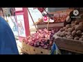 جوله فى سوق مسره فى شبرا 