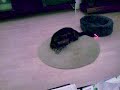 The Red Dot #2