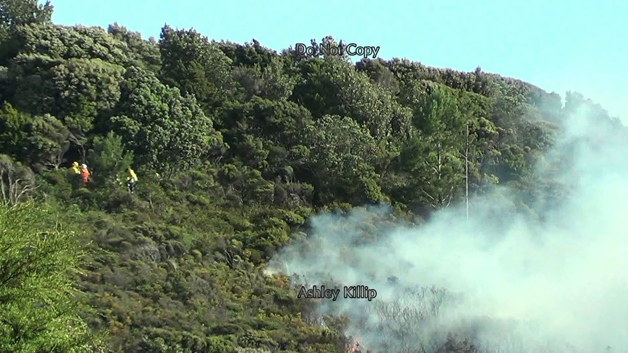 4th Alarm Scrub Fire Full Length YouTube