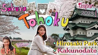 Japan 2023 🌸 EP.1 ดูซากุระที่ Kakunodate, ปราสาท Hirosaki | นอนโตเกียวเที่ยวโทโฮคุ |PuccaPuccaa