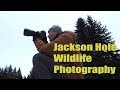 Outdoor Photography in a Snowstorm | A Wildlife Photography Vlog