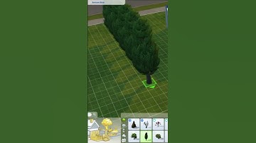 How to turn off your Grid in Build Mode #shorts #shorts #thesims4