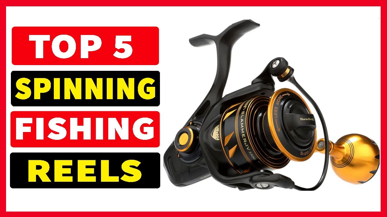 Top 5 Best Fishing Reels In 2024