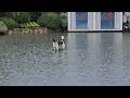 ШОК #Анапа - ПОТОП СЕЙЧАС В ГОРОДЕ! СРОЧНО - СМЫВАЕТ ПЛЯЖ!