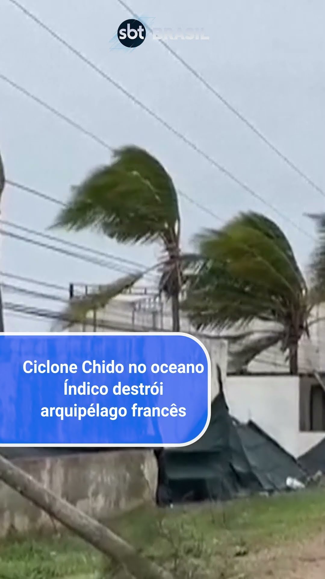 Ciclone Chido deixa vários mortos no arquipélago francês de Mayotte | SBT Brasil (16/12/24)