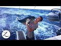 Offshore Fishing South Pacific - Catch, Clean, Cook, & EAT!!  (Ep 96)