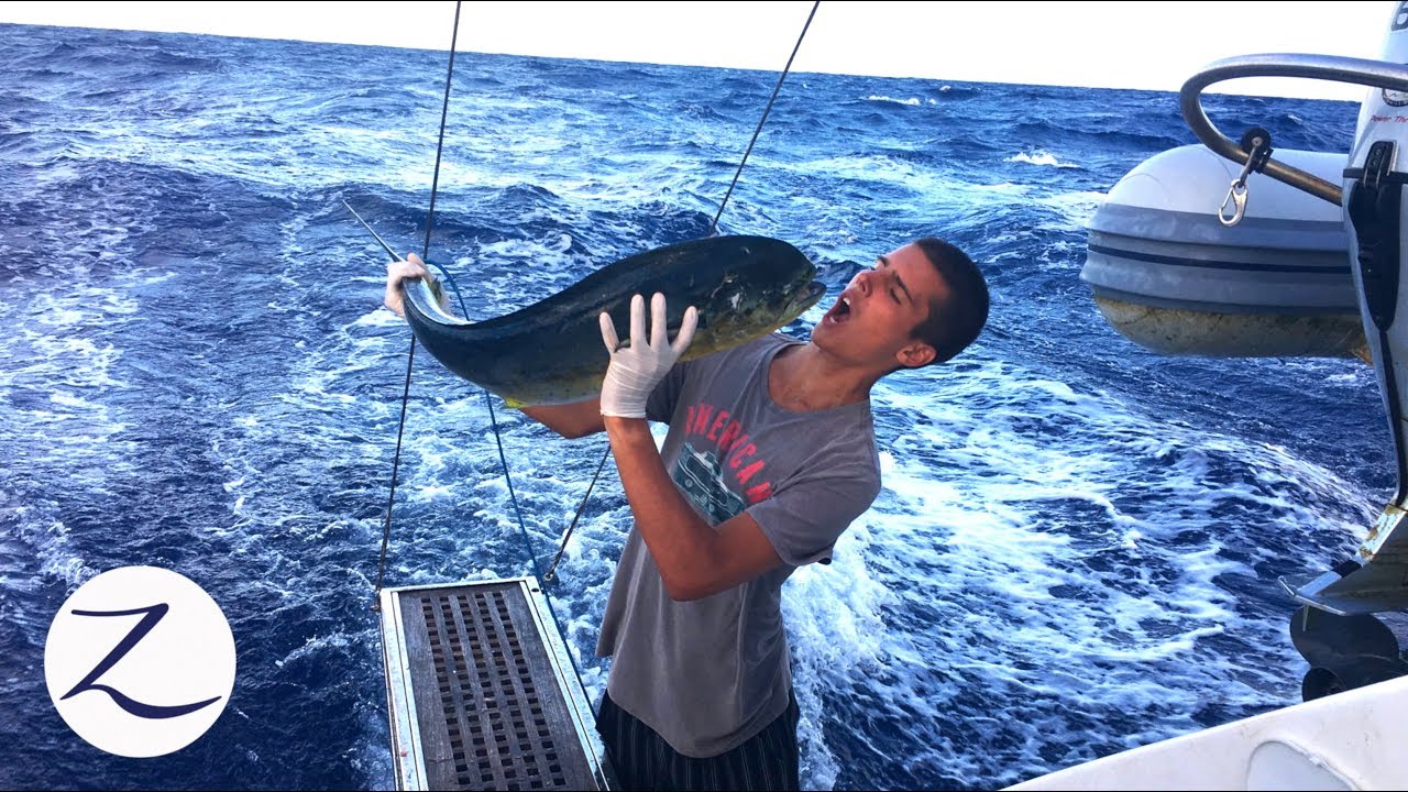 Offshore Fishing South Pacific - Catch, Clean, Cook, & EAT!!  (Ep 96)