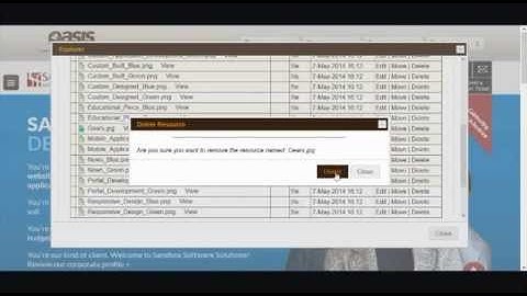 Deleting Files in the OASIS CMS File System