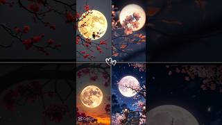 capcut transition effect -trendin template video effect🔥🎥🎬 #emraanhasmi #lifeisbutadream