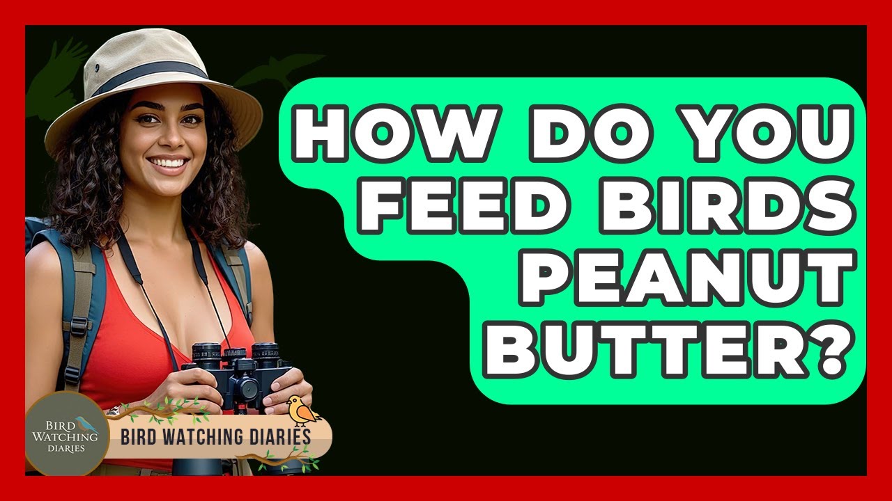 How Do You Feed Birds Peanut Butter? - Bird Watching Diaries