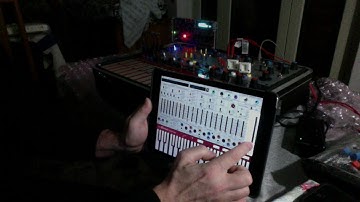 Buchla Music Easel Iprogram card &App testing