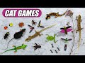 Games for Cats 🐾 Mouse &amp; Lizard Hunting Challenge | Cat TV Entertainment