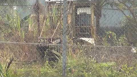 Zoom cận cảnh nhà hoang Tuấn Khỉ trú ẩn từ phía bờ kênh