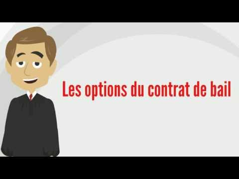 Comment bien rédiger un contrat de bail? | LeBonBail France |