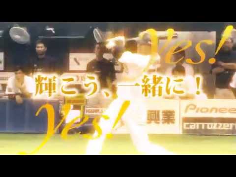 高須クリニック 球場用CM