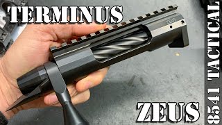 Terminus Actions “Zeus” Rifle Build