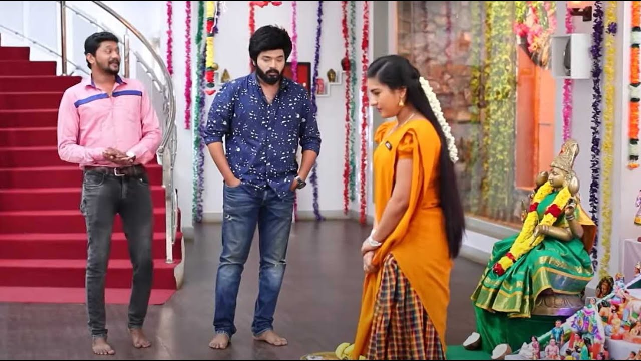 நான் எதுக்கு நந்தி மாதிரி.. எஞ்சாய்!| செம்பருத்தி | Sembaruthi | Zee Tamil | Ep. 306