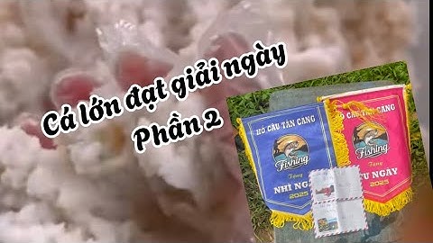 Bài cháo dừa câu cá tra phối hợp với liên hoàn hương mùi yogurt dâu và yogurt cam | phần 2 
