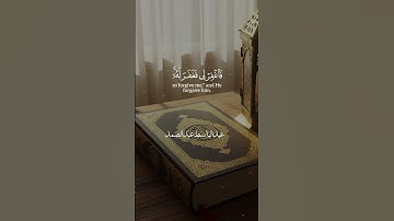 😭 قال ربي إني ظلمت نفسي بصوت يهز القلوب 💔 | تلاوة نادرة للشيخ عبدالباسط عبدالصمد 🕋