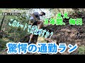 アドベンチャーランナーも仰天！TJAR選手の恐るべき通勤ラン