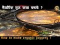 नैसर्गिक(Chemical Free) गूळ कसा बनतो?।।How to make Organic jaggery?।।Vlogyvishal