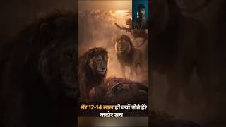 शेर जंगल का राजा है, फिर भी सिर्फ 12-14 साल क्यों जीता है? 😱 #shorts #lion
